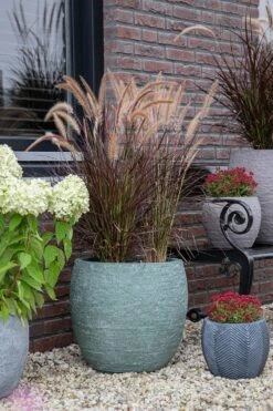 Bloempot Arizona Bullet Cypress Wash - D57 X H50.5cm - Groen -Huisdecoratie arizona bullet cypress wash d57h505 bloempot 7 9