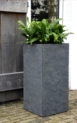 Plantenbak Arizona Cubihi - L33 X B33 X H70cm - Donkergrijs -Huisdecoratie arizona cubihi graphite w33h70 plantenbak 7 4