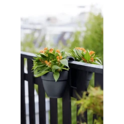 Elho Balkonbak Vibia Campana Twin 21cm - Antraciet -Huisdecoratie balkonbak vibia campana twin 21cm antraciet balkonbak antraciet 5 1