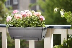 Balkonbak Elho Barcelona Allin 1 50cm - Antraciet -Huisdecoratie barcelona allin1 50cm plantenbak antraciet 7 18