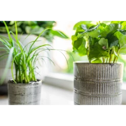 Bloempot Denise - D17 X H17cm - Off White 7 Bloempot Denise - D17 X H17cm - Off White -Huisdecoratie bloempot denise d17 x h17cm off white bloempot 3