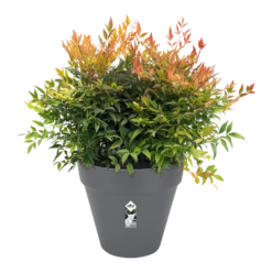 Bloempot Elho Loft Urban Rond 40cm - Antraciet -Huisdecoratie bloempot elho loft urban rond antraciet bloempot antraciet 3 2