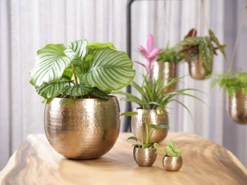 Bloempot Kody - D17 X H16cm - Rosu00e9 Goud -Huisdecoratie bloempot kody d17 h16 rose goud bloempot 6 7