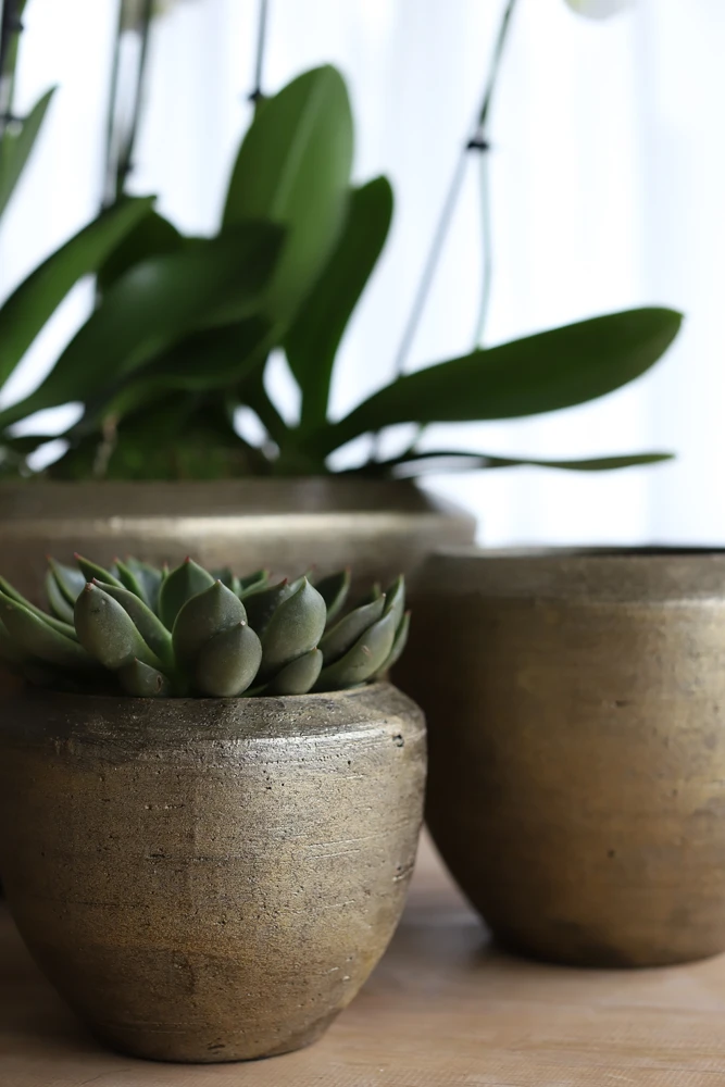 Bloempot Kos - D30 X H27cm - Goud 4 Bloempot Kos - D30 X H27cm - Goud - Afbeelding 2