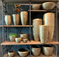 Plantenschaal Kos - D25 X H16cm - Goud -Huisdecoratie bloempot kos serie goud bloempot 3 1 7