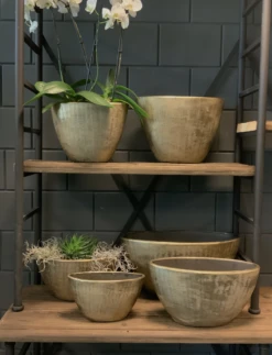 Bloempot Kos Ovaal - L30 X B13 X H17cm - Goud -Huisdecoratie bloempot kos serie ovaal goud bloempot 3 1 1