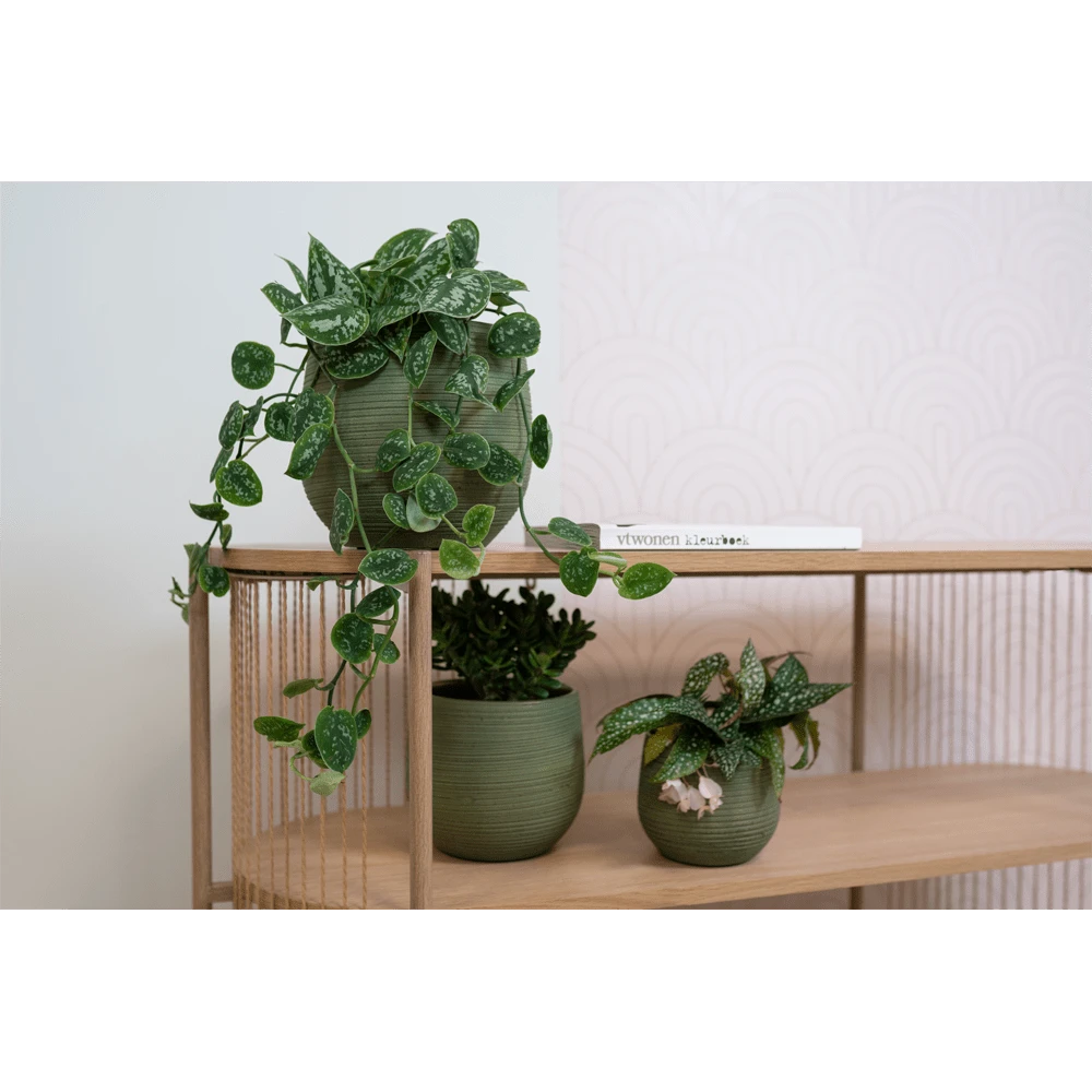 Bloempot Lydia - D22 X H20cm - Shiny Green 4 Bloempot Lydia - D22 X H20cm - Shiny Green - Afbeelding 2