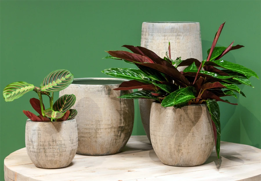 Bloempot Steef - D39 X H36cm - Creme Groen 4 Bloempot Steef - D39 X H36cm - Creme Groen - Afbeelding 2