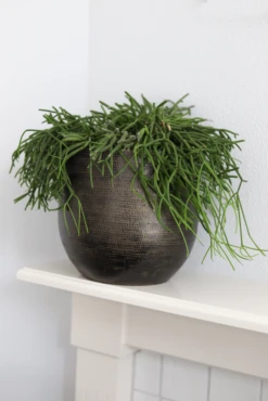 Bloempot Tokio - D20 X H18cm - Goud -Huisdecoratie bloempot tokio goud bloempot 2 1