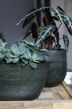 Bloempot Tokio Ovaal - L33 X B16 X H26cm - Groen -Huisdecoratie bloempot tokio ovaal groen bloempot 2 1 1