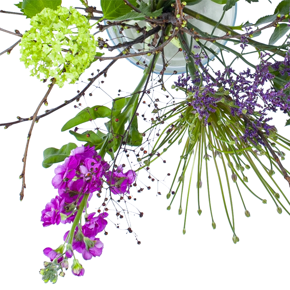 Boeket Biezen Klein 4 Boeket Biezen Klein - Afbeelding 2