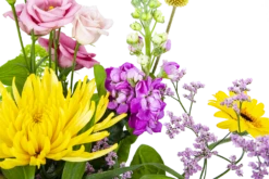 Boeket Eline Groot 10 Boeket Eline Groot -Huisdecoratie boeket eline boeketten 3 1