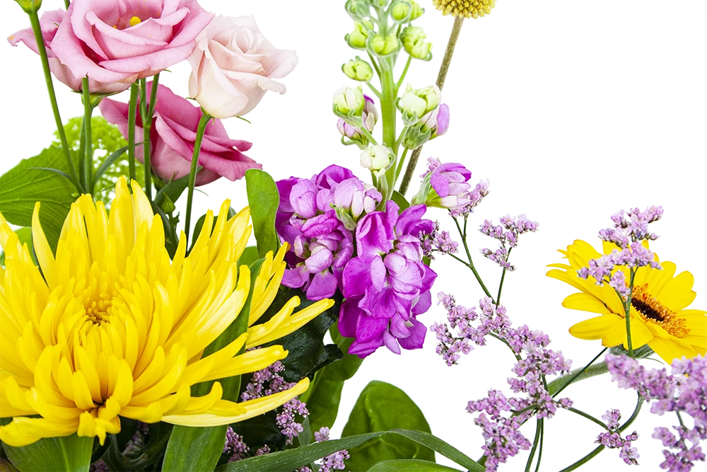 Boeket Eline Groot 5 Boeket Eline Groot - Afbeelding 3