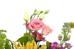 Boeket Eline Groot 11 Boeket Eline Groot -Huisdecoratie boeket eline boeketten 4 1