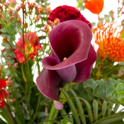 Boeket Herfst Warmte Middel -Huisdecoratie boeket herfst warmte middel boeketten 4