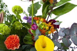 Boeket Judith Klein 9 Boeket Judith Klein -Huisdecoratie boeket judith boeketten 3