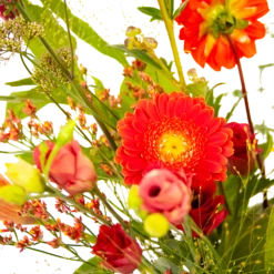 Boeket Plukgeluk Middel -Huisdecoratie boeket plukgeluk middel boeketten 3