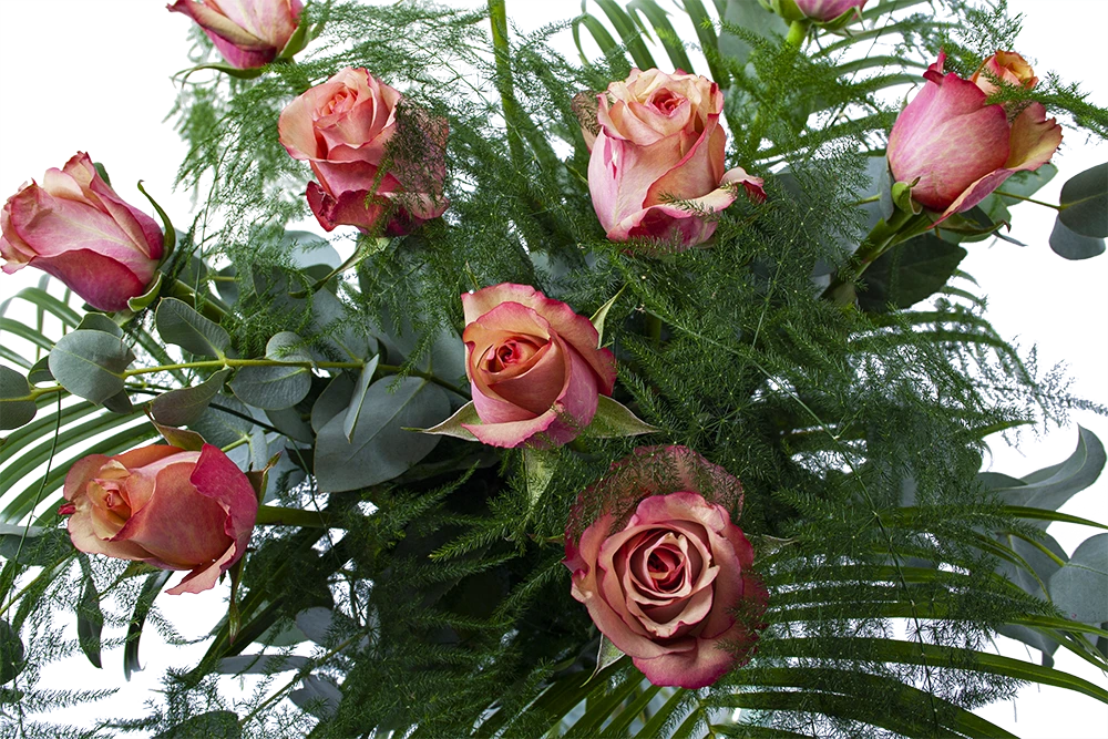 Boeket Rosa Roze Middel 5 Boeket Rosa Roze Middel - Afbeelding 3