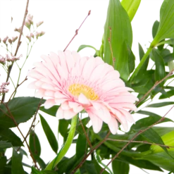 Boeket Roze Verrassing Middel -Huisdecoratie boeket roze verrassing boeketten 2