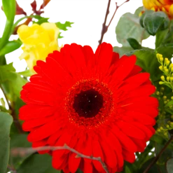 Boeket Speciale Verrassing Klein -Huisdecoratie boeket speciale verrassing boeketten 3