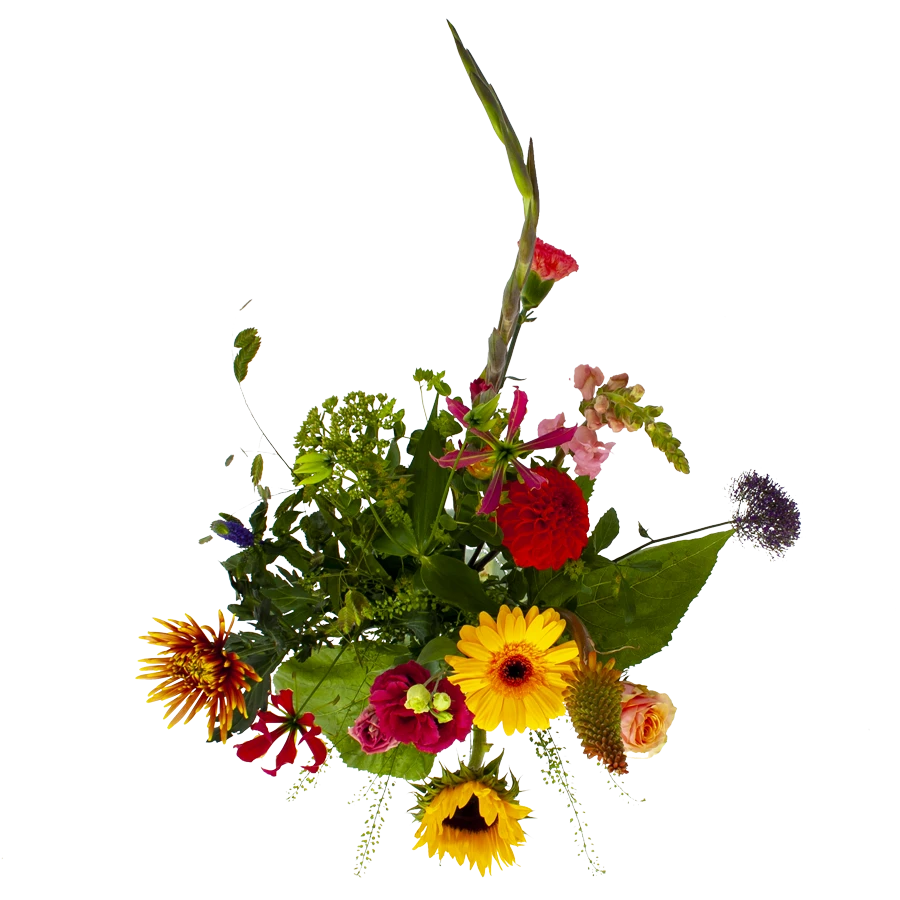 Boeket Vlinder Groot 4 Boeket Vlinder Groot - Afbeelding 2