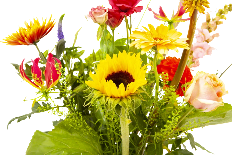 Boeket Vlinder Groot 5 Boeket Vlinder Groot - Afbeelding 3