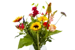 Boeket Vlinder Middel -Huisdecoratie boeket vlinder boeketten 4 3