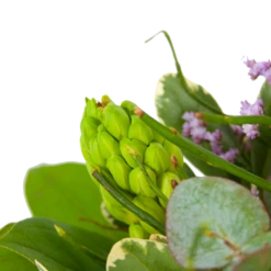 Boeket Vrolijk Seizoen Middel 9 Boeket Vrolijk Seizoen Middel -Huisdecoratie boeket vrolijk seizoen boeketten 3