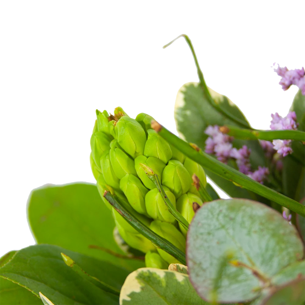 Boeket Vrolijk Seizoen Middel 5 Boeket Vrolijk Seizoen Middel - Afbeelding 3