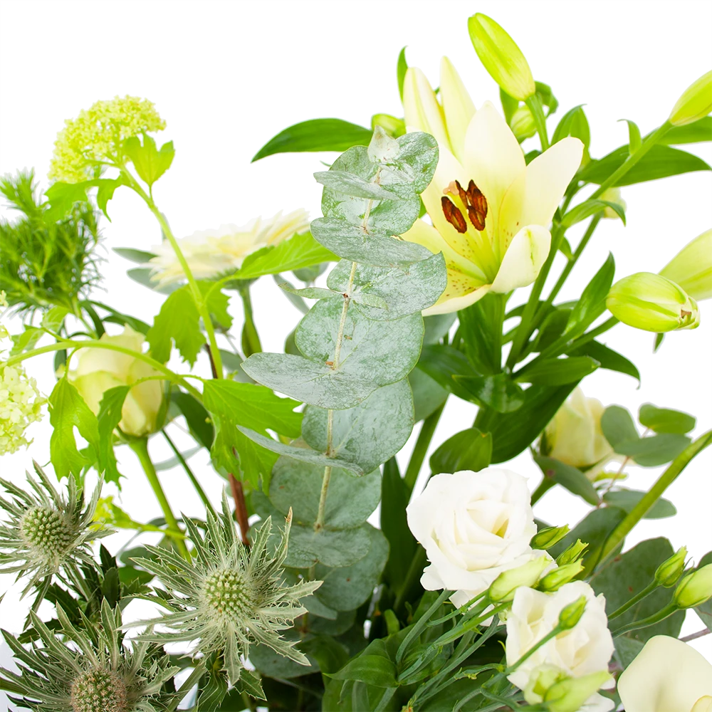 Boeket Wit Gebaar Middel 5 Boeket Wit Gebaar Middel - Afbeelding 3
