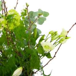 Boeket Witte Winter Klein 10 Boeket Witte Winter Klein -Huisdecoratie boeket witte winter boeketten 3