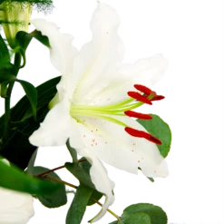 Boeket Witte Winter Klein 11 Boeket Witte Winter Klein -Huisdecoratie boeket witte winter boeketten 4