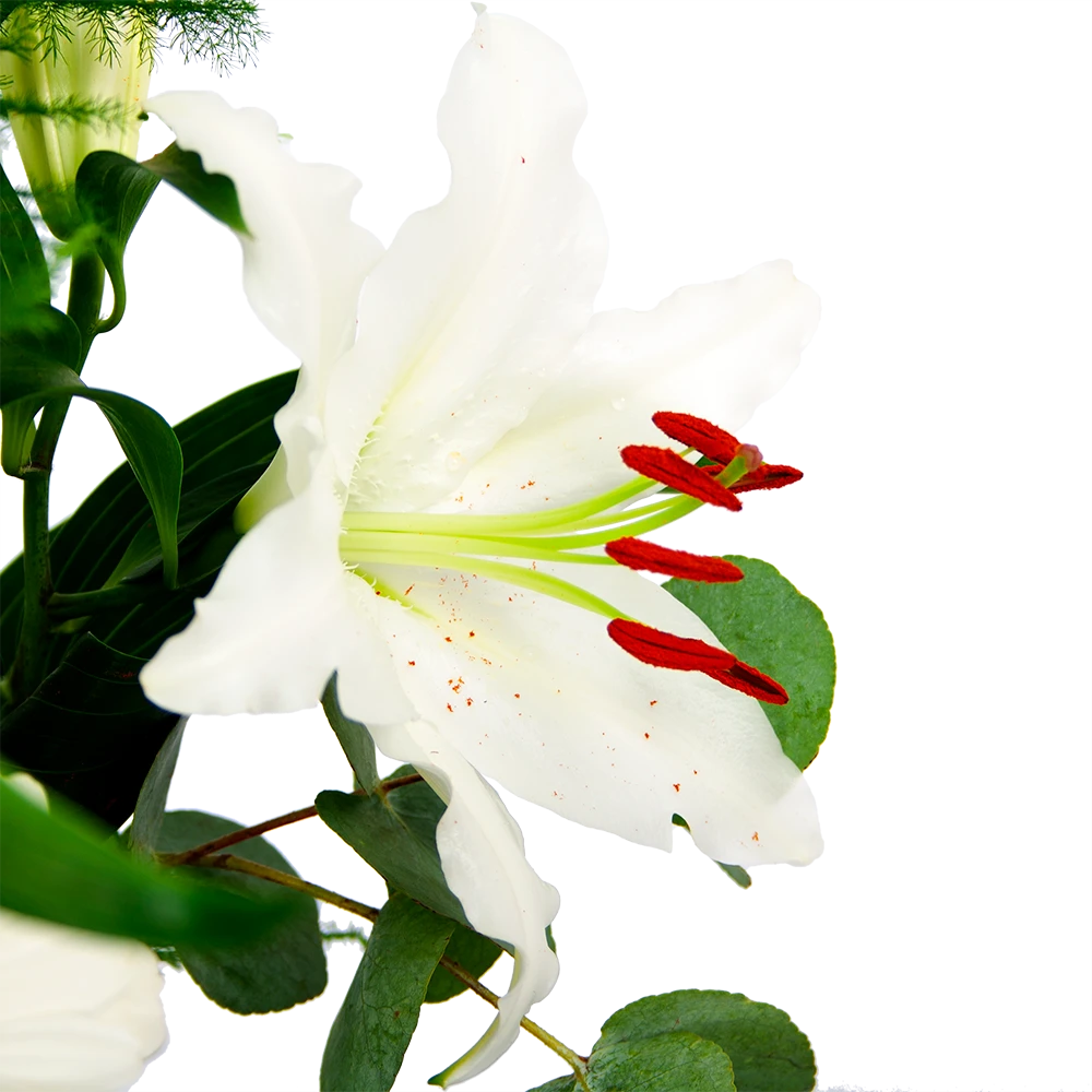 Boeket Witte Winter Klein 6 Boeket Witte Winter Klein - Afbeelding 4