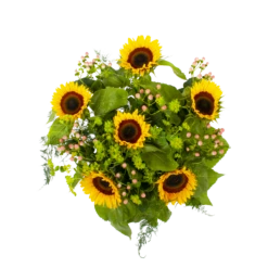 Boeket Zonnestraal Middel 9 Boeket Zonnestraal Middel -Huisdecoratie boeket zonnestraal boeketten 2 3 1