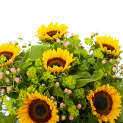 Boeket Zonnestraal Middel 10 Boeket Zonnestraal Middel -Huisdecoratie boeket zonnestraal boeketten 3 3 1