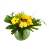 Boeket Zonnetje Middel 2 Boeket Zonnetje Middel -Huisdecoratie boeket zonnetje boeketten 1 1
