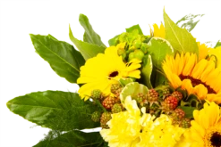 Boeket Zonnetje Middel -Huisdecoratie boeket zonnetje boeketten 4 1