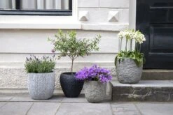 Bloempot Colorado Egg - D32 X H31cm - Grijs 7 Bloempot Colorado Egg - D32 X H31cm - Grijs -Huisdecoratie colorado egg pot river grey d32h31 bloempot 7 9