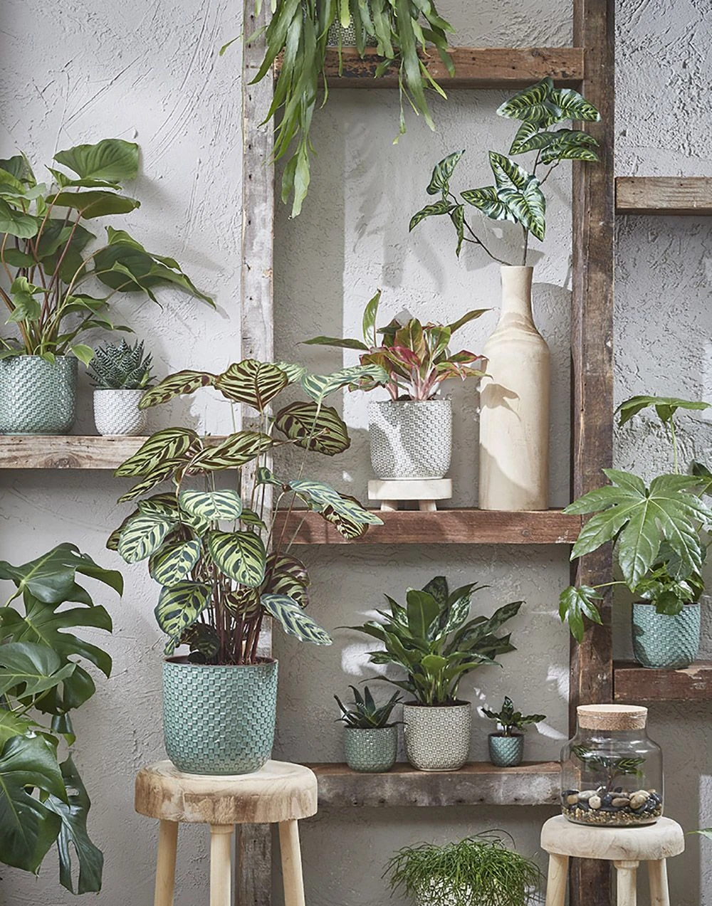 Bloempot Daan - D19 X H17.5cm - Groen 5 Bloempot Daan - D19 X H17.5cm - Groen - Afbeelding 3