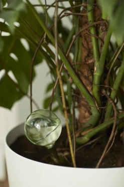 Aqua Care Elho - Transparant -Huisdecoratie elho aqua care transparant water geven 7 2