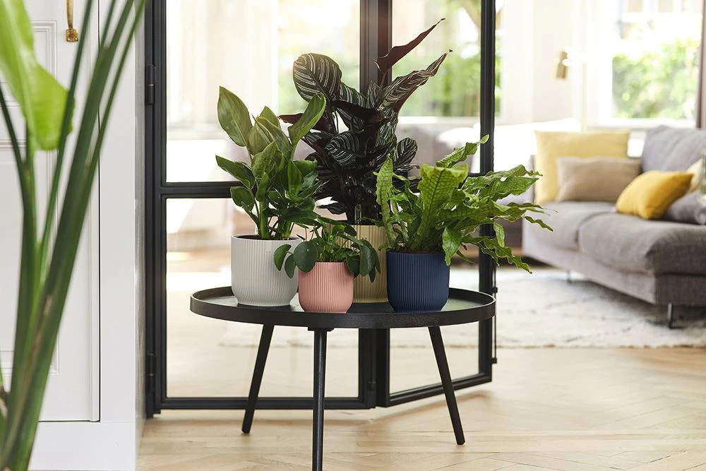 Bloempot Elho Vibes Fold Rond - D22 X H20cm - Diepblauw - Afbeelding 6