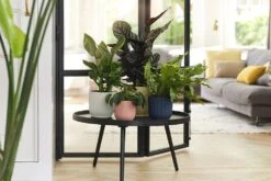 Bloempot Elho Vibes Fold Rond - D22 X H20cm - Delicaat Roze -Huisdecoratie elho vibes fold rond 22 roze d22 h20cm bloempot delicaat roze 7 19