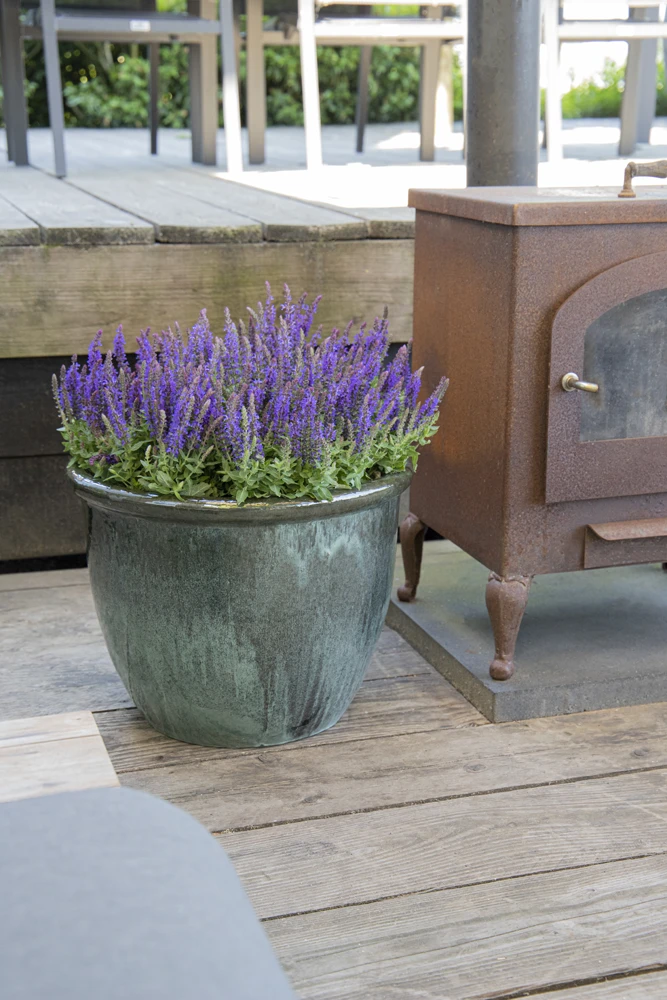 Bloempot Glazed Hp001 - D30 X H25cm - Groen 5 Bloempot Glazed Hp001 - D30 X H25cm - Groen - Afbeelding 3