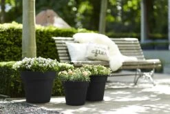 Bloempot Elho Green Basics Top Planter 40cm - Living Black -Huisdecoratie green basics top planter 40cm bloempot living black 7 13