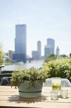 Plantenschaal Elho Greenville 33cm - Bladgroen -Huisdecoratie greenville schaal 33cm bloempot bladgroen 6 13