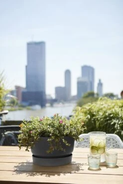 Plantenschaal Elho Greenville 33cm - Living Black 7 Plantenschaal Elho Greenville 33cm - Living Black -Huisdecoratie greenville schaal 33cm bloempot living black 6 13