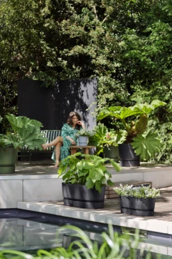 Bloembak Elho Greenville Terrace 80cm - Met Wielen - Living Black -Huisdecoratie greenville terrace trough 80cm wheels plantenbak living black 6 4