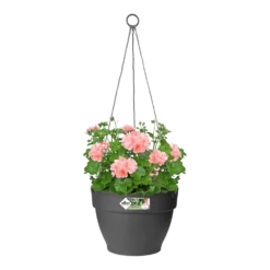 Elho Hangschaal Vibia Campana 26cm - Antraciet -Huisdecoratie hangschaal vibia campana 26cm antraciet hangpot antraciet 3 1