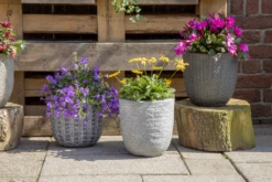 Bloempot Indiana Egg Pebble - D45 X H43cm - Donkergrijs -Huisdecoratie indiana egg pot pebble d45h43 bloempot donkergrijs 7 4