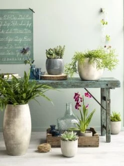 Bloempot Lester - D20 X H18cm - Lichtgrijs -Huisdecoratie lester pot rond lgrijs h18xd20cm bloempot 7 12